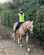 Load image into Gallery viewer, Hi Vis vest for horse riders
